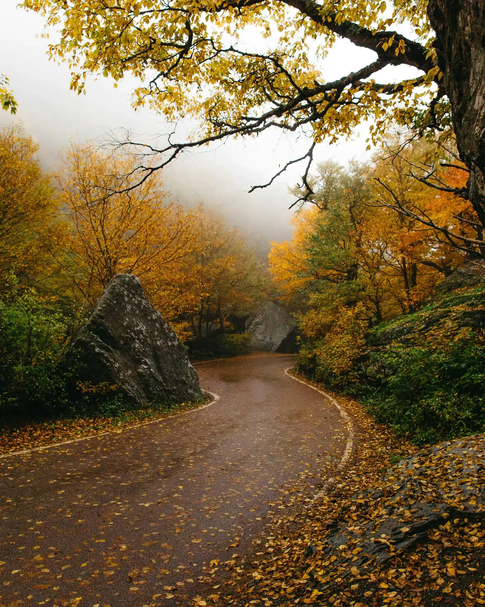 Autumn countryside with a winding road
